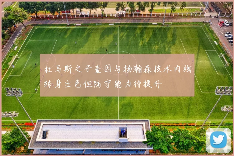 杜马斯之子奎因与杨瀚森技术内线转身出色但防守能力待提升